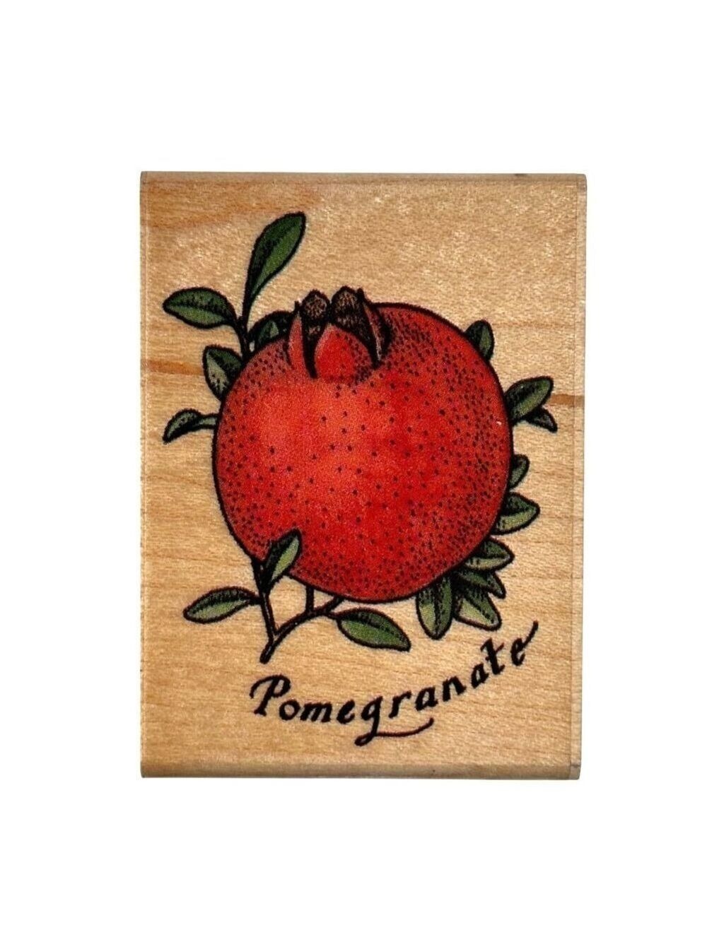 Rubber Stampede Pomegranate Mounted Rubber Stamp Botanical Fruit Art Craft